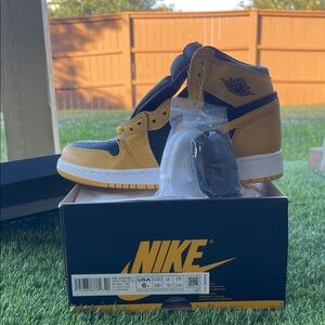 Pollen Jordan 1’s